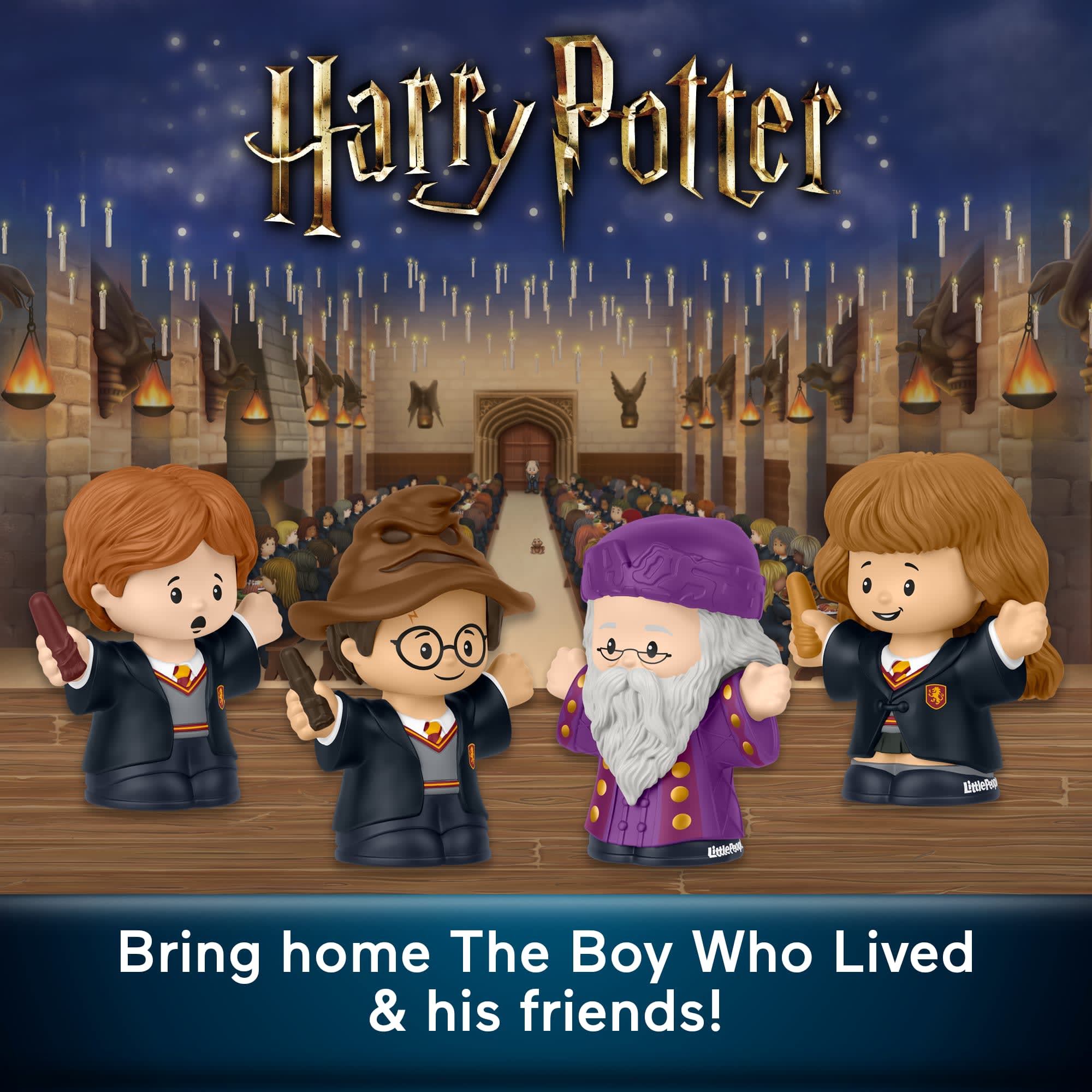 Fisher-Price Little People Collector Harry Potter And The Sorcerer's Stone